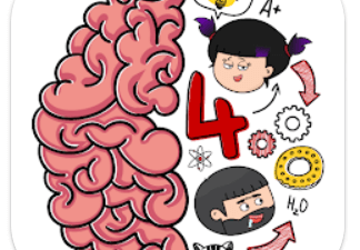 Brain Test 4 answers